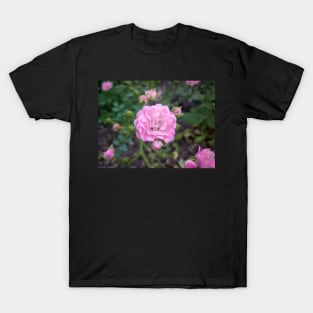 Pink Rose T-Shirt